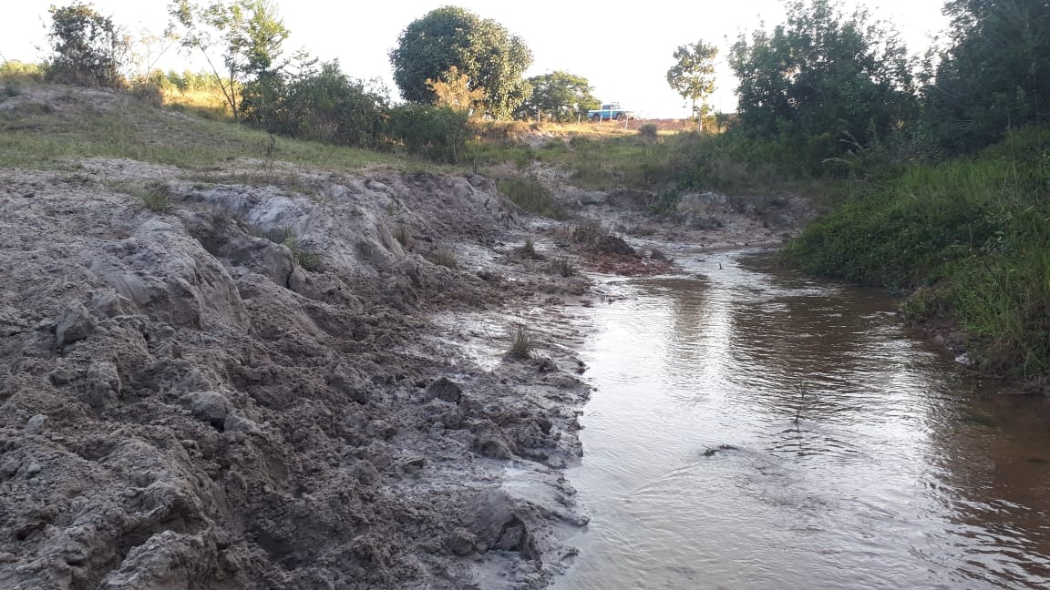 Pecuarista é autuado por criar gado em propriedade alheia, degradando áreas protegidas