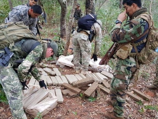 Policiais encontram 4,5 toneladas de maconha em mata na fronteira Policiais encontram 4,5 toneladas de maconha em mata na fronteira