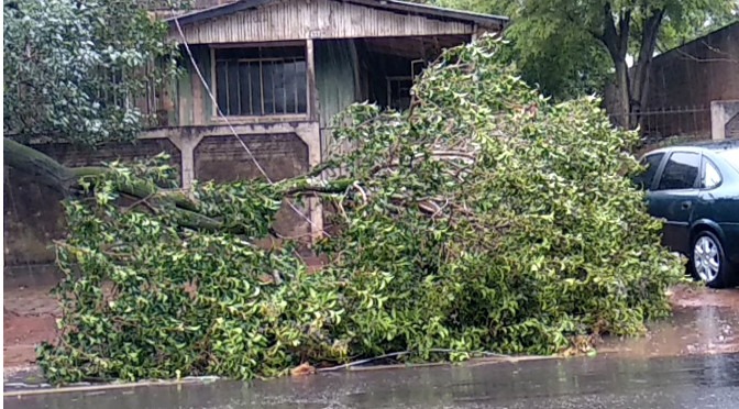 Defesa Civil alerta para chuva forte e ventos de até 100 Km/h no MS