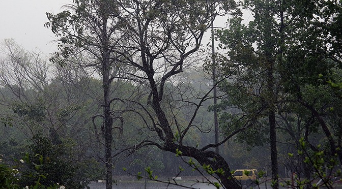 Em MS, céu parcialmente nublado com possibilidade para pancadas de chuva isolada Em MS, céu parcialmente nublado com possibilidade para pancadas de chuva isolada