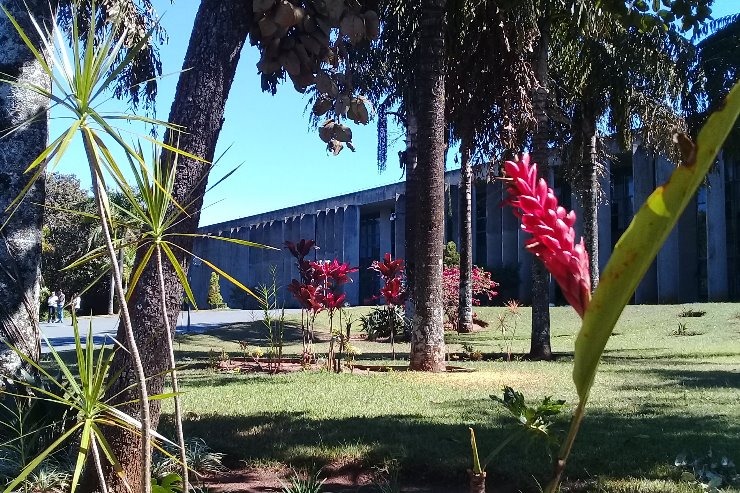 Decisão pela constitucionalidade da Lei 3.885 de MS se torna definitiva no STF Luciana Nassar