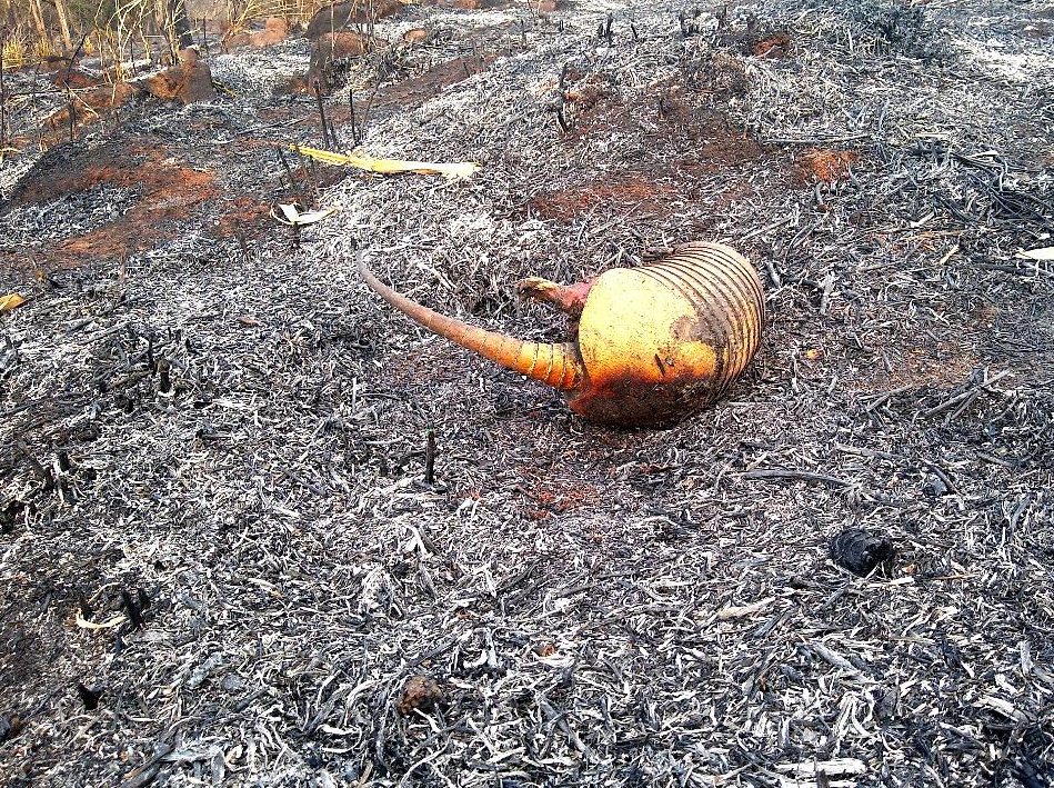 PMA já aplicou R$ 4,65 milhões em multas por incêndios em MS