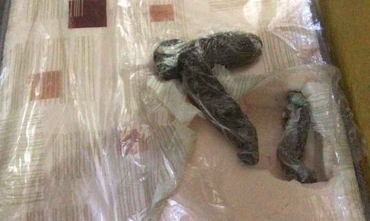 Homem é preso ao tentar levar maconha em colchão para irmão no presídio