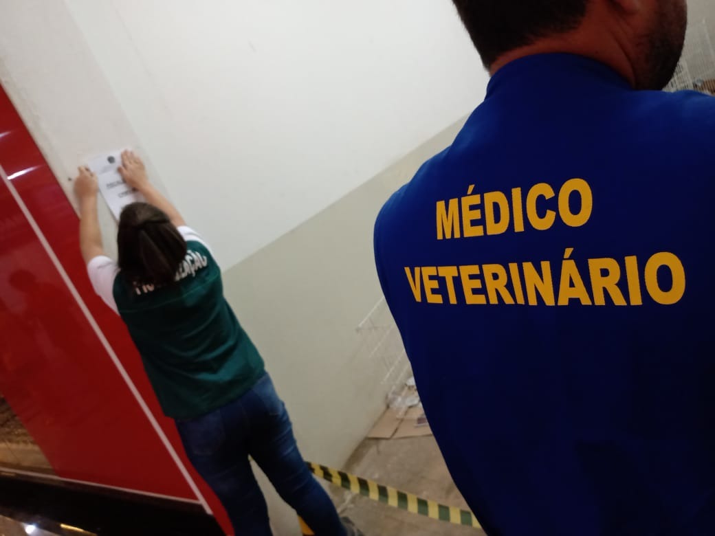 Após denúncia anônima, Conselho recolhe animais e interdita feira em Dourados Após denúncia anônima, Conselho recolhe animais e interdita feira em Dourados