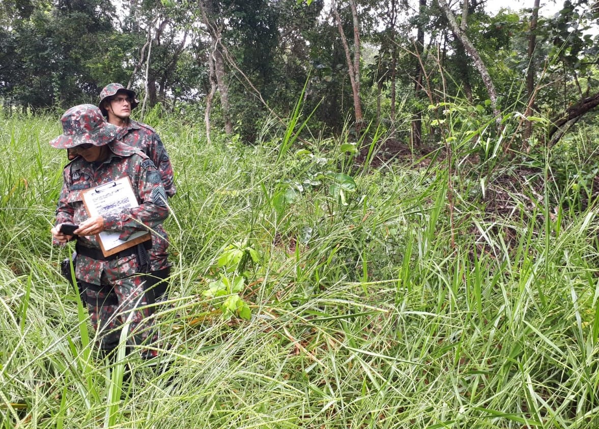 Paulista é multado em R$ 45 mil por desmatamento ilegal