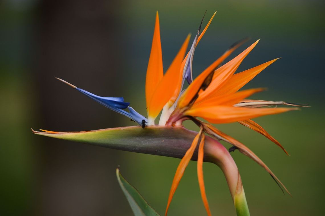 Marcello Casal jr/Agência Brasil/Agência Brasil