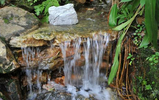 Comissão da Câmara aprova projeto que cria fundo para recuperação de nascentes