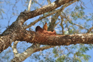 Parque recebe R$ 3,9 milhões para se tornar centro de visitação ambiental