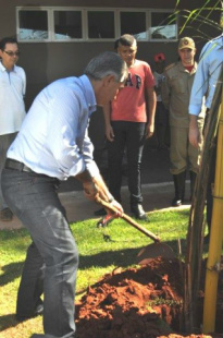 O governador Reinaldo Azambuja aproveitou a oportunidade e plantou uma muda de Pindó. (Foto: Marcelo Calazans)
