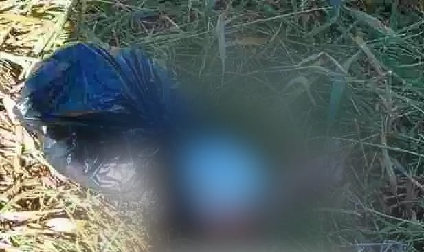 Populares encontram feto em saco plástico próximo a Universidade Parte do corpo do bebê feto estava sendo comido por um cachorro. Porã News