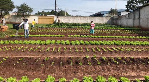 Trabalho de detentos leva alimentação saudável a centenas de pessoas carentes