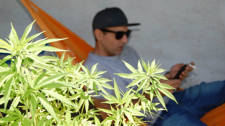 Segundo o fundador, os planos são de abastecer toda a América Latina (Foto: Divulgação)