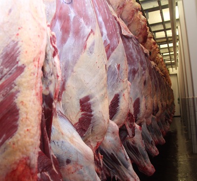 MS abateu 2,342 milhões de cabeças de janeiro a setembro deste ano - Foto: ARQUIVO/CORREIO DO ESTADO