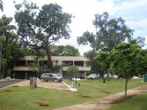 Flora predominante é o cerrado. Foto: divulgação