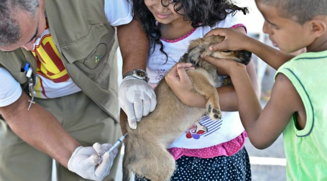 Secretaria de Saúde confirma casos de raiva e orienta intensificação de vacinação antirrábica Secretaria de Saúde confirma casos de raiva e orienta intensificação de vacinação antirrábica