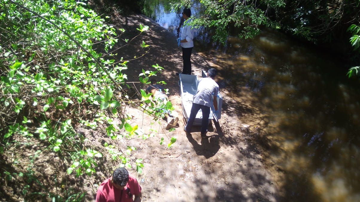 Corpo de jovem foi encontrado embaixo de ponte de madeira na área rural de Campo Grande neste domingo . Yarima Mecchi/Correio do Estado