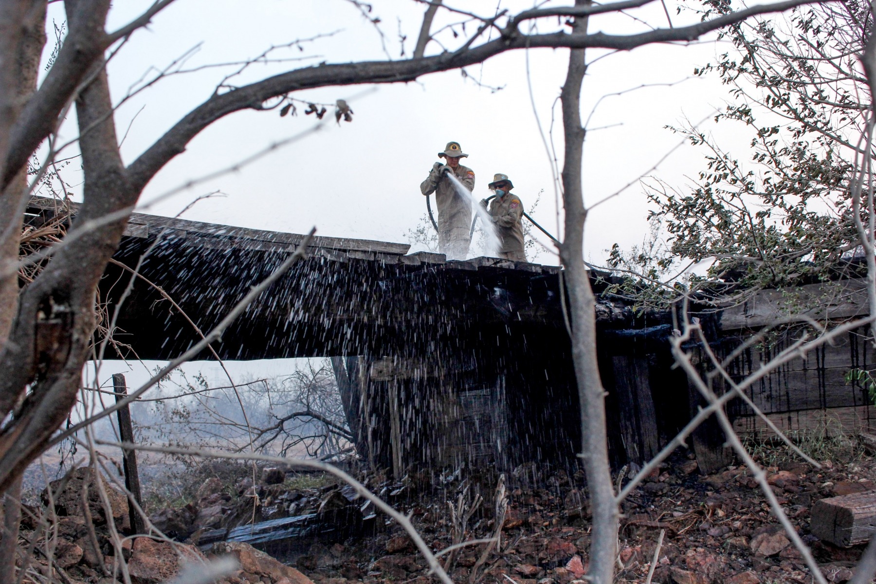 Chuvas reduzem focos de calor no Pantanal e Defesa Civil continua em alerta em MS Divulgação
