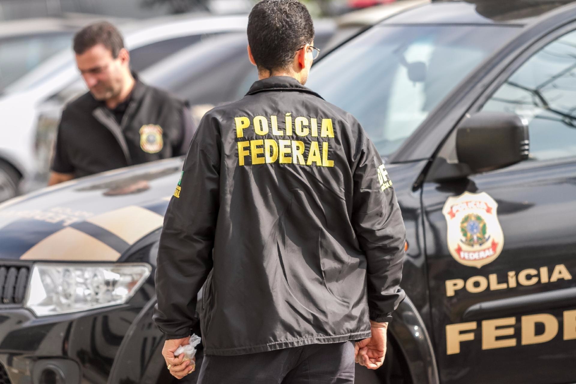 Operação da PF destrói 360 mil pés de maconha em estados brasileiros Reprodução