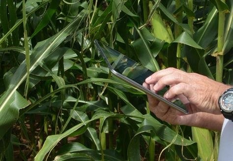 Aplicativo prevê tempestades e auxilia agricultores Plataforma desenvolvida pelo Inpe utiliza recursos mais precisos de análise climática
Arquivo/Embratur