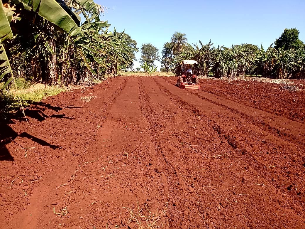 Através da Secretaria de Agricultora Familiar, prefeitura de Dourados continua apoiando os pequenos produtores 