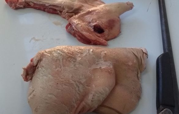 Empresário é preso por caça e abate de animal silvestre, além de posse ilegal de arma