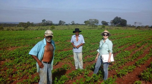 Dia Internacional dos Povos Indígenas: Proacin tem a missão de atender 15 mil famílias em 72 aldeias de MS O Estado tem a segunda maior população indígena no País e o Programa de Apoio às Comunidades Indígenas de Mato Grosso do Sul, foi institucionalizado pelo governador Reinaldo Azambuja para apoiar nas aldeias a agricultura familiar sustentável.