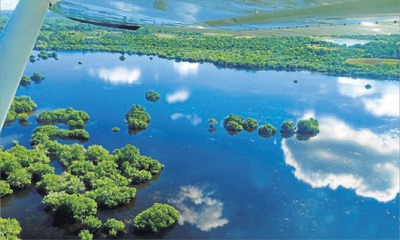 Regiões pantaneiras entre as cidades de Aquidauana e Corumbá sofrem cheia pluvial, decorrente de precipitações volumosas - Foto: Guilherme Rondon/Divulgação