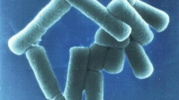 Por que algumas mulheres não contraem HIV? Conheça as bactérias vaginais consideradas “preservativos biológicos”