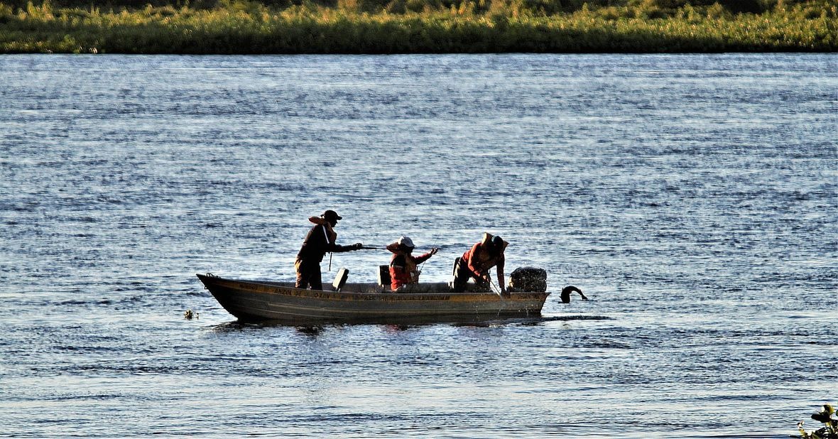 Campeonato pesque-solte em Murtinho encerra a temporada de pesca em MS Campeonato pesque-solte em Murtinho encerra a temporada de pesca em MS