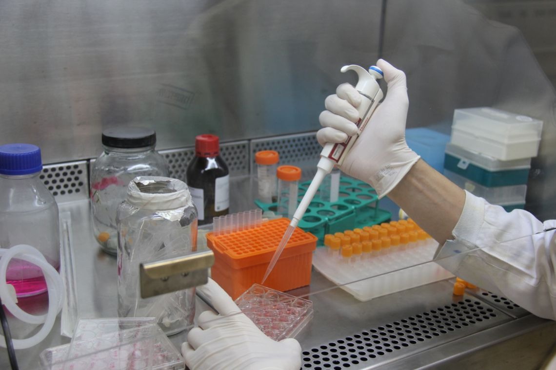 Pesquisadores conseguem combater sintomas do Alzheimer com canabinoide Pesquisadores conseguem combater sintomas do Alzheimer com canabinoide