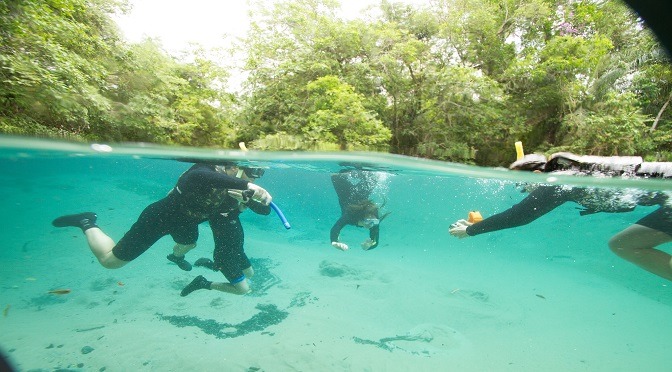 Segmento de turismo LGBT é tema de workshop em Bonito