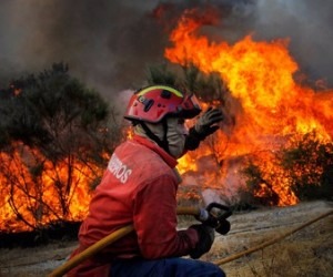 Bombeiro tenta debelar fogo - Divulgação