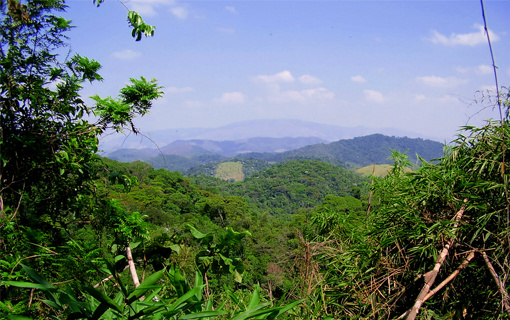 Seminário aborda estratégias de conservação ambiental e proteção social Seminário aborda estratégias de conservação ambiental e proteção social