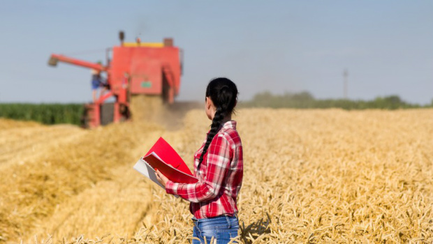 7 empresas do agro que estão com vagas abertas para estágio Sua chance de começar a carreira no agronegócio com o pé direito (Foto: Thinkstock)