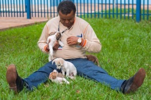 Servidor do CCZ com os animais para adoção. (Foto: Reprodução/Amigos do CZZ).
