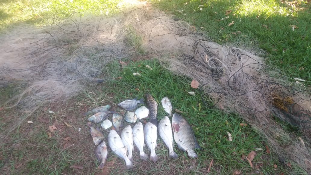 Homem é flagrado pescando com rede de 200 metros no rio Formoso