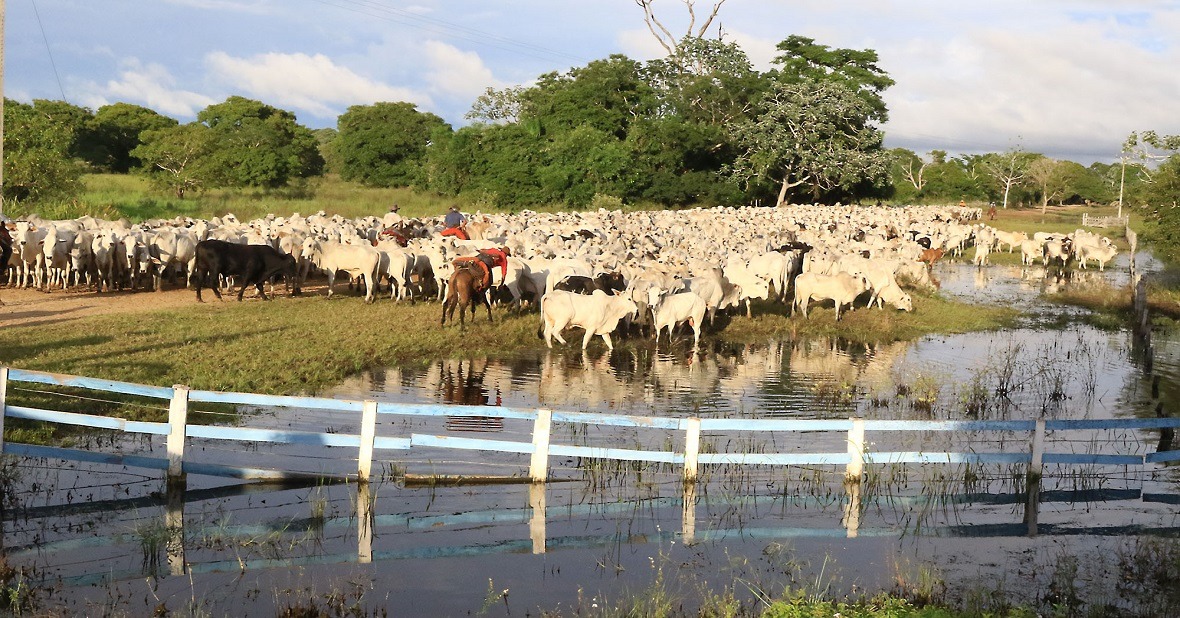 61% de propriedades economicamente ativas em MS são da agricultura familiar Edemir Rodrigues
