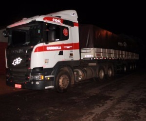 Vítima caiu morta ao lado da carreta. - Luis Gustavo/Jornal da Nova
