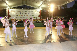 Abertas as inscrições para apresentações artísticas no Dourados Brilha Foto: A. Frota/Arquivo
Prefeitura de Dourados dá início à Preparação para o Dourados Brilha, um dos maiores eventos do Estado