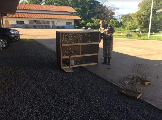 Animais foram resgatados pela PMA e terão destinação adequada. - PMA/Divulgação