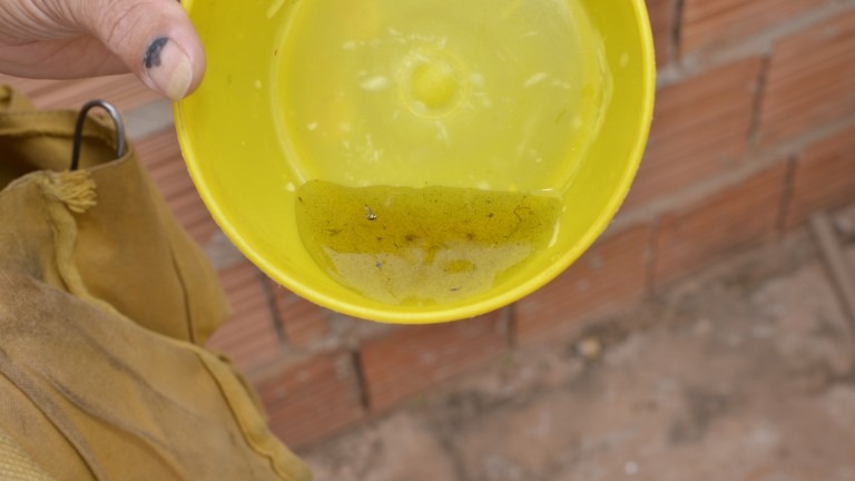 Casos de dengue caem pelo terceiro mês seguido na Capital Casos de dengue caem pelo terceiro mês seguido na Capital
