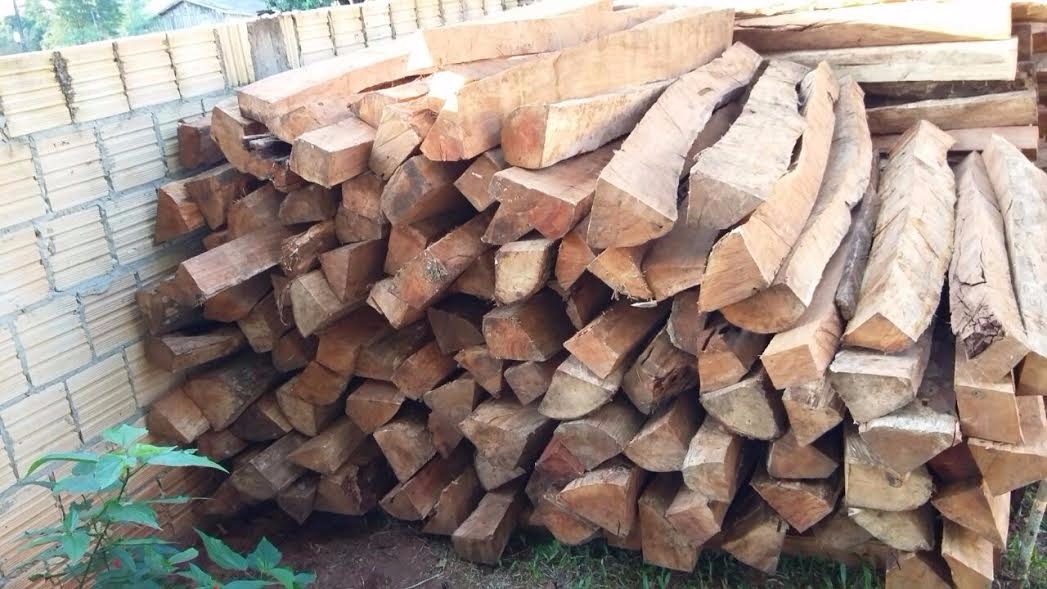 Homem é autuado por oferecer madeira ilegal em site de compra e venda