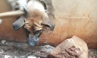 Reprodução / TV Morena