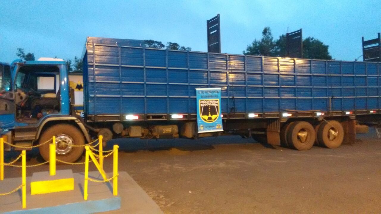 PRE apreende quase 2 toneladas de maconha