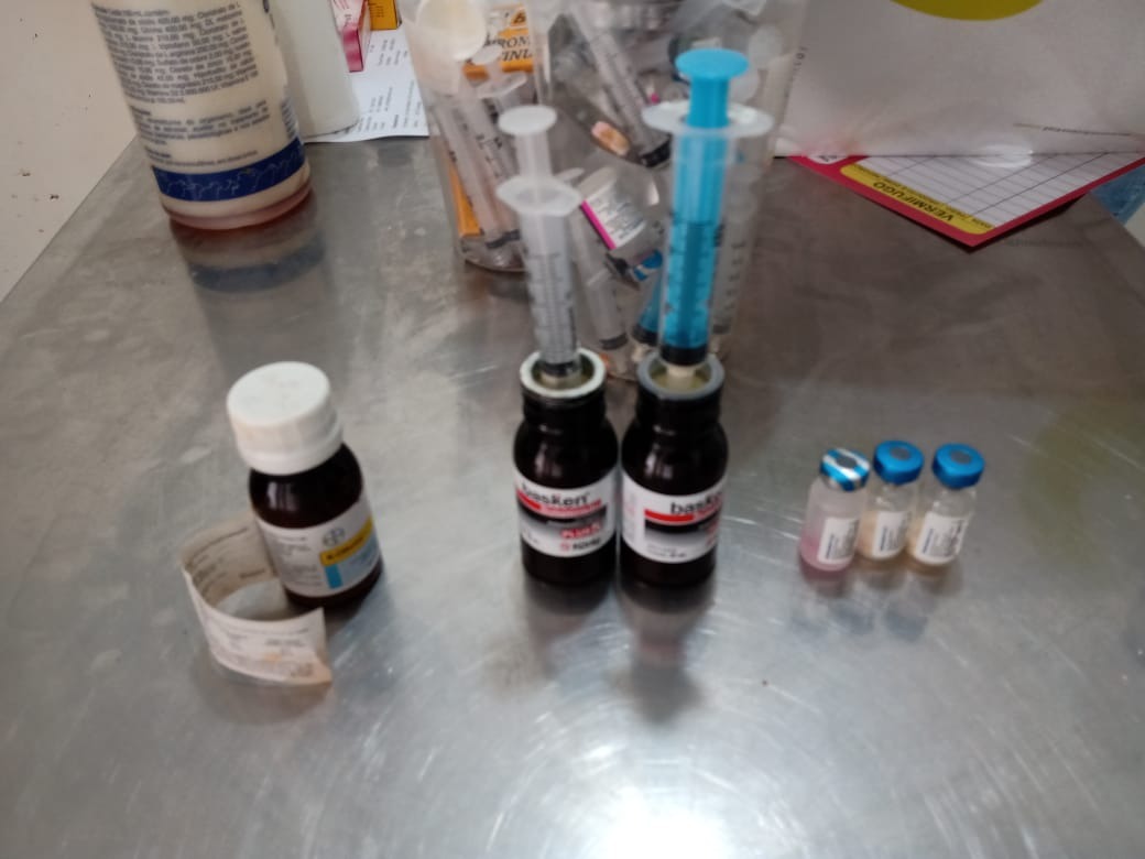 Clínica clandestina na região do Lagoa é autuada pelo CRMV-MS