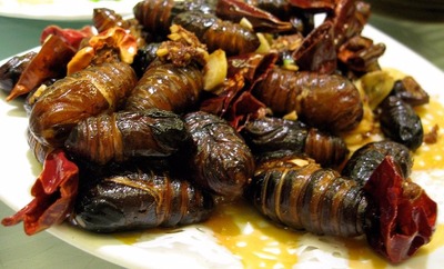 10 comidas extremamente perigosas que os indianos comem normalmente 8 – Silkworm Pupae