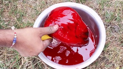10 comidas extremamente perigosas que os indianos comem normalmente 10 – Sangue de cabra