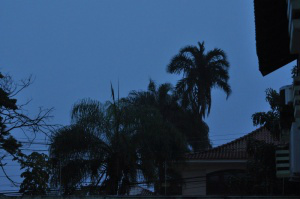 O dia amanheceu com neblina e garoando em Campo Grande. (Foto: Marcelo Calazans)