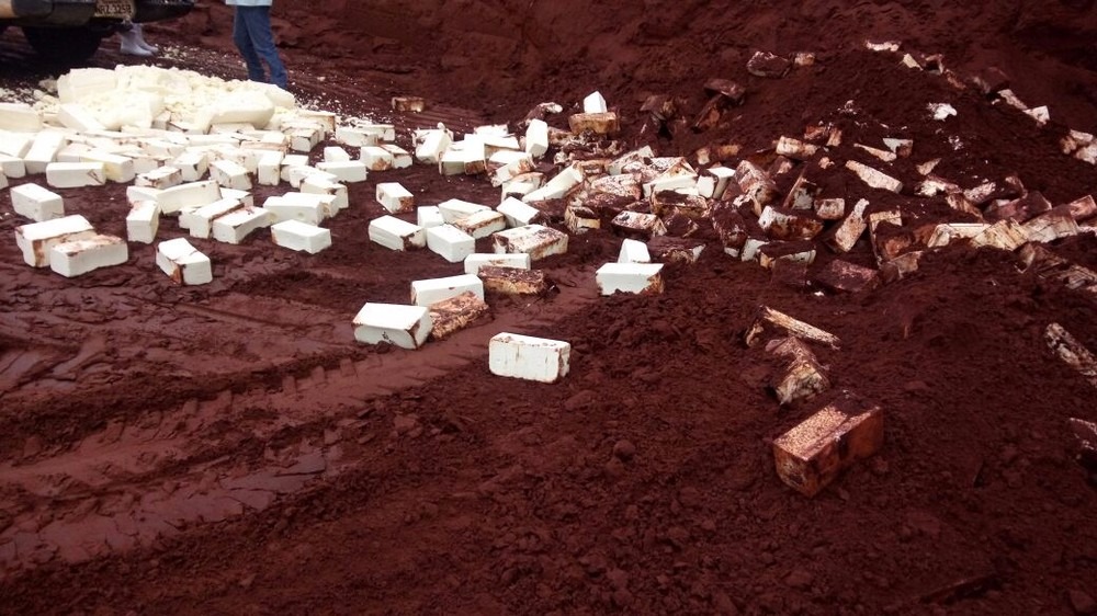 Polícia investiga sumiço de queijos descartados em aterro por contaminação Local onde os queijos contaminados foram descartados (Foto: Divulgação)