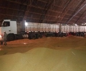 Carga recorde de maconha era de consórcio paulista de traficantes A maconha estava escondida sob carga de farelo de soja, em uma carreta bitrem - Divulgação/PRF